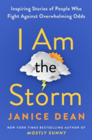 I_am_the_storm